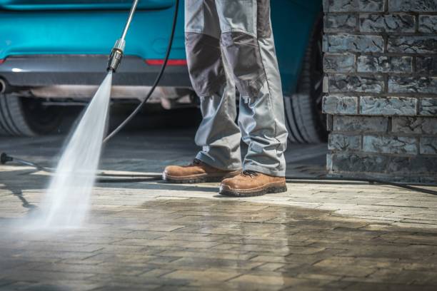 Best Rust Removal  in Harbour Heights, FL
