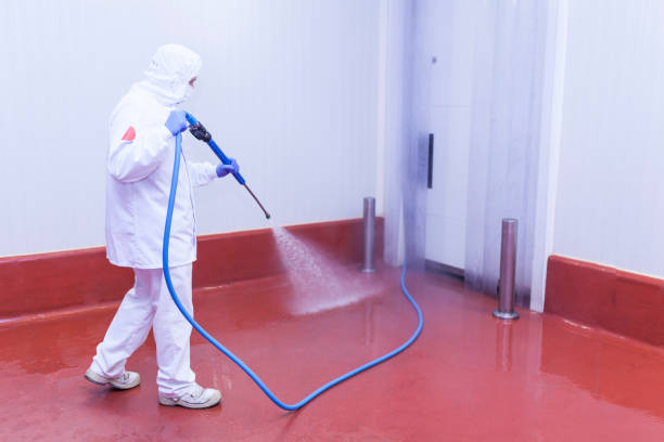 Best Solar Panel Cleaning  in Harbour Heights, FL